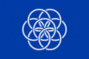 Earth flag