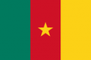 Flag of Cameroon